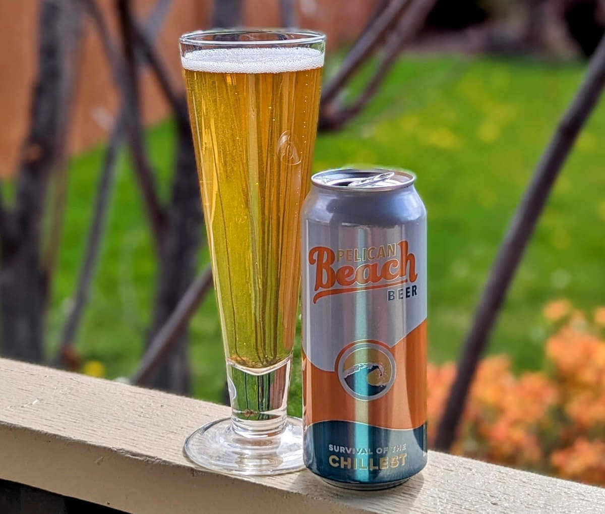 Pelican Brewing releases Beach Beer